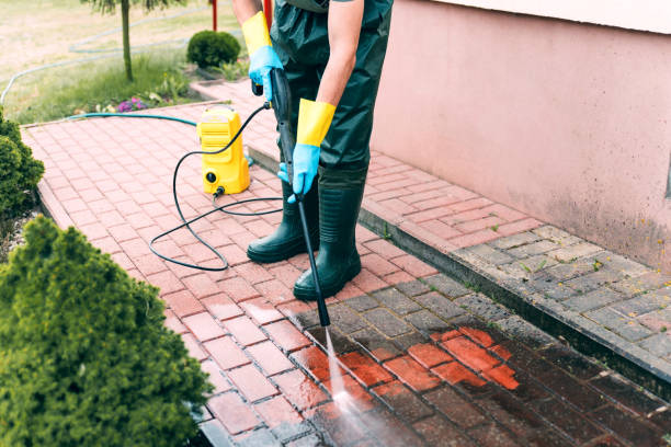 Best Driveway Cleaning and Restoration in Ozona, TX